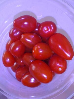 Tomates cerises - 5